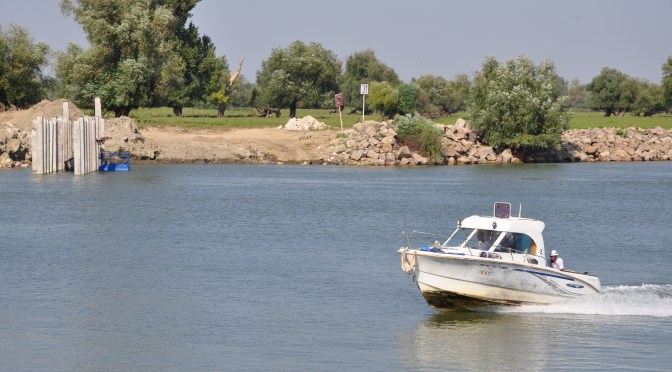 Cu bicicleta in Delta si cu cei mici? Se poate?